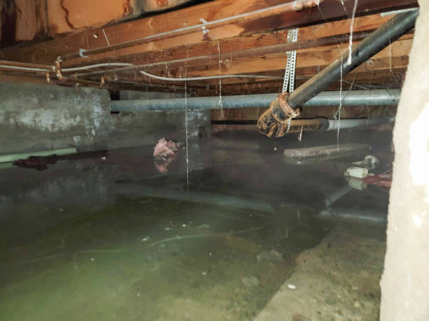 Water damage restoration insurance claims in NC