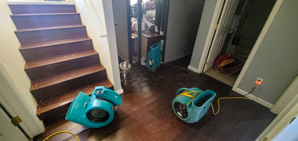 Best 24-hour water damage restoration  in Bayboro, NC