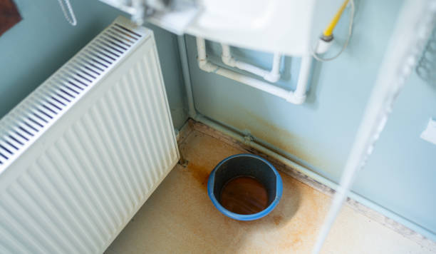 Best Flood restoration services  in Bayboro, NC